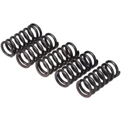 Kupplungsfedern Satz EBC verstärkt für Yamaha DT 50, 80, 125, RD 200, FS 1, TDR MG00062775