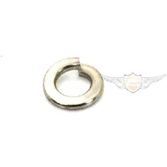 Sprengring DIN127 6mm MG00065305