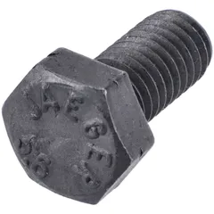 Schraube M5x10mm [5.6] MG00065760