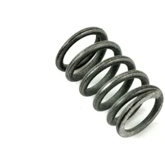 Feder für Bing Stahl 12mm 6mm für Hercules K 50, 50 SE, RE, RL, SL, SX, RX, Sprint, Ultra, Ultra 80, 100, Sport Bike SB1, KTM Co