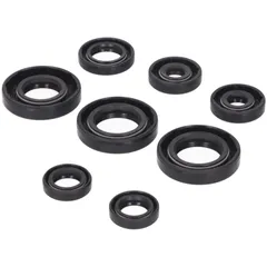 engine oil seal set Naraku for Derbi EBE, EBS NK102.13