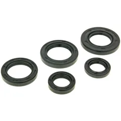 engine oil seal set for Morini AC (old version), Malaguti 100 2-stroke NK167.27