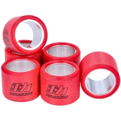 variator / vario roller set Naraku heavy duty 19x15.5mm - 4.0g NK919.040