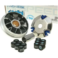 Variator Variomatik Polini Hi-Speed für Derbi P.10074