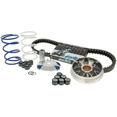 Variator Variomatik Kit Polini Hi-Speed für Peugeot stehend P.13880