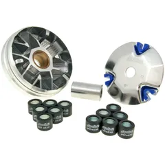 Variator Variomatik Polini Hi-Speed für Honda Dio SP, Vision, Peugeot ST Rapido P.24460