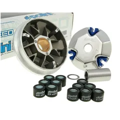 Variator Variomatik Polini Hi-Speed für PGO Big Max P.26298