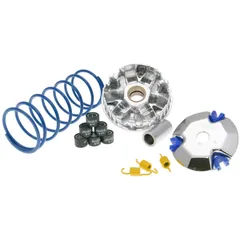 Variator Variomatik Polini Hi-Speed für Honda NSC 50 R, Vision 50 4T 2012- P.34791
