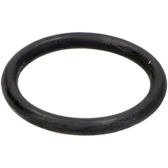 engine swing arm o-ring seal OEM 20.0x25.0x2.5mm for Runner, Hexagon, SKR, TPH PI-273774