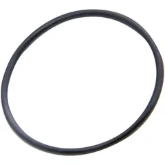 Dichtring O-Ring Ölpumpe OEM PI-311163