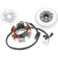 Ankerplatte Spule Lichtmaschine Stator und Rotor OEM für Derbi, Aprilia mit Ducati / Kokusan Zündung PI-82829R