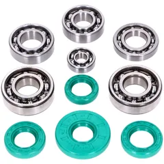 Ball bearing set Schmitt Evolution metal cage C3 FKM green with twist direction for Simson M500 engine STT54280