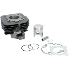 Zylindersatz Zylinderkit Top Performances Trophy 50ccm 40mm für Peugeot stehend AC TP-9924780
