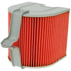Lufi Luftfilter Einsatz für Honda Helix, Piaggio Hexagon 250ccm VC24066