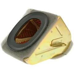 Lufi Luftfilter Einsatz für GY6, Baotian, Kymco Heroism, Calypso 125/150ccm VC24943