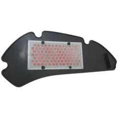 Lufi Luftfilter Einsatz für Honda NES, PS Passion, SES Dylan, SH, 125, 150 VC30952