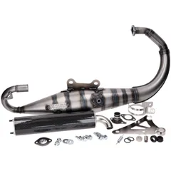 Auspuff Yasuni Carrera 10 Carbon-Look für Minarelli stehend YAS317-2C